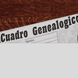 View Larger Image »